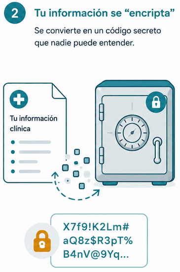 Paso 2: Tu información se encripta